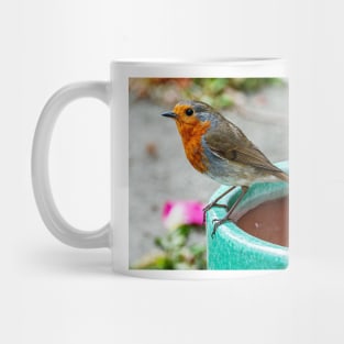 Robin Red Breast Bird Photography Poster Mug